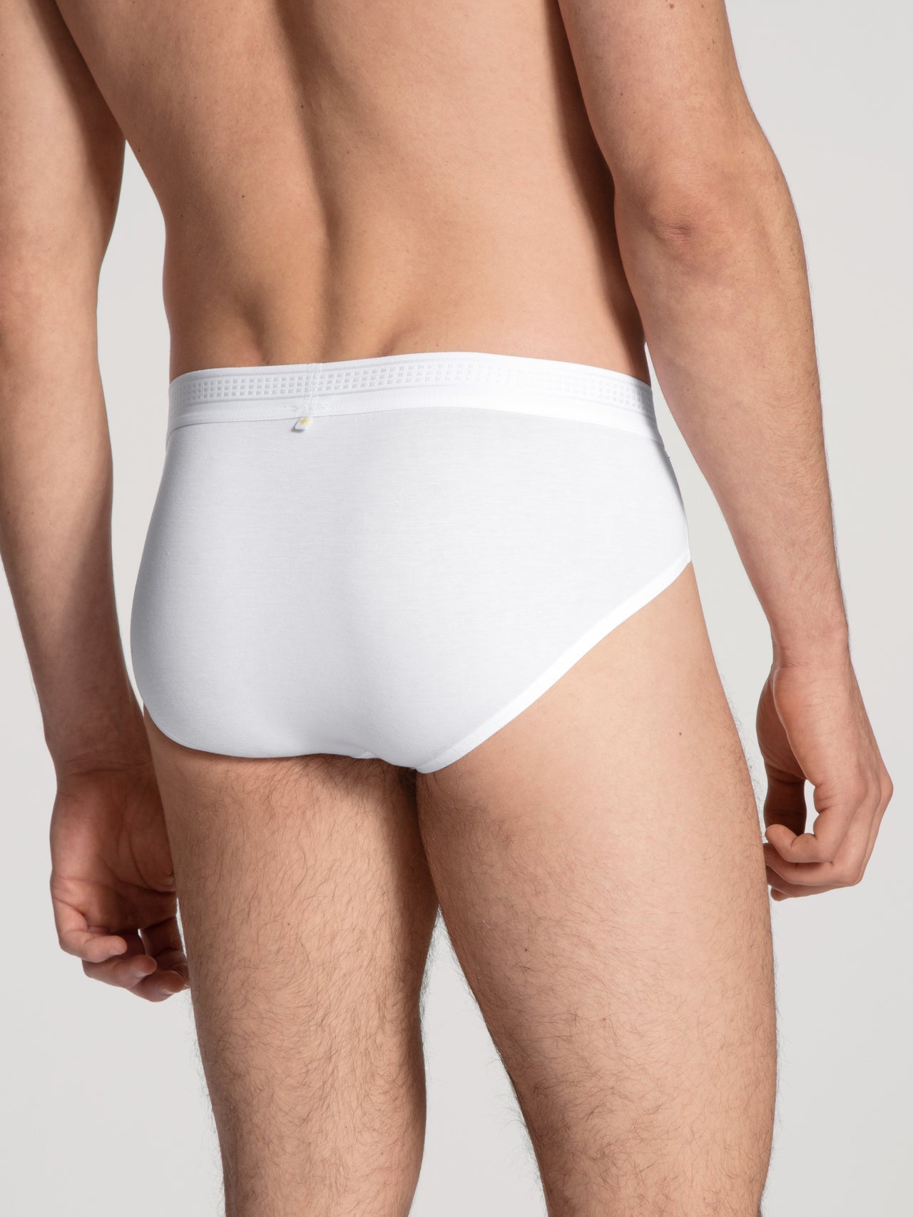 Calida Clean Focus Brief