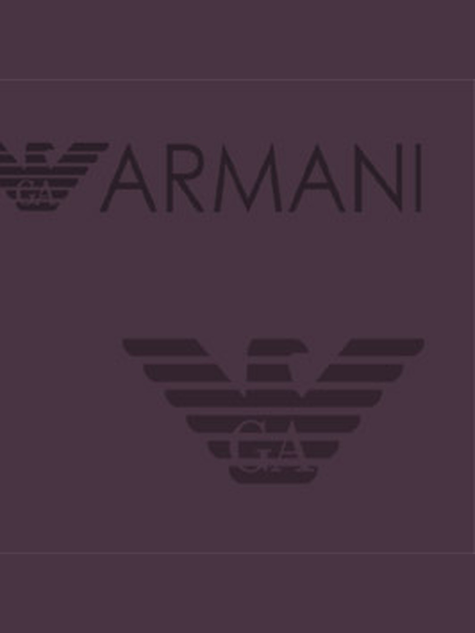 Emporio Armani Ladies Loose-Fit Viscose Trousers