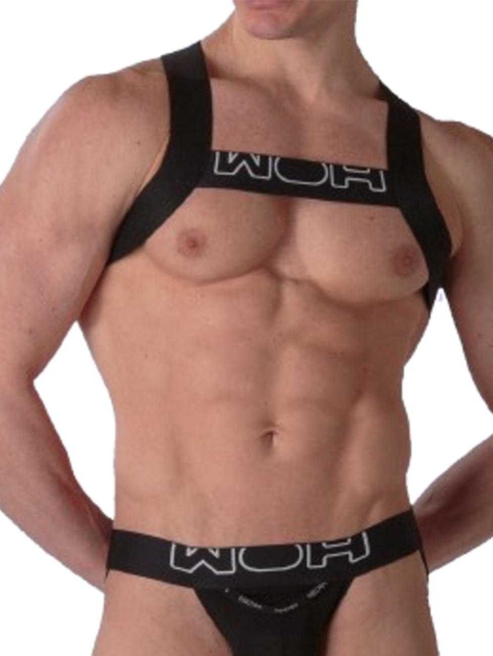 WOH Sexy Fun Sexy Fun Harness