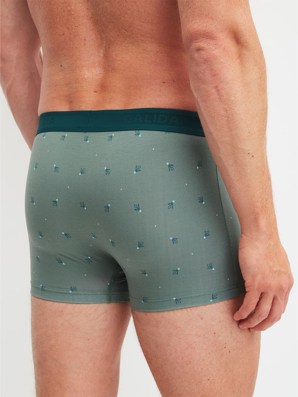 Calida Grafic Cotton Boxer Brief