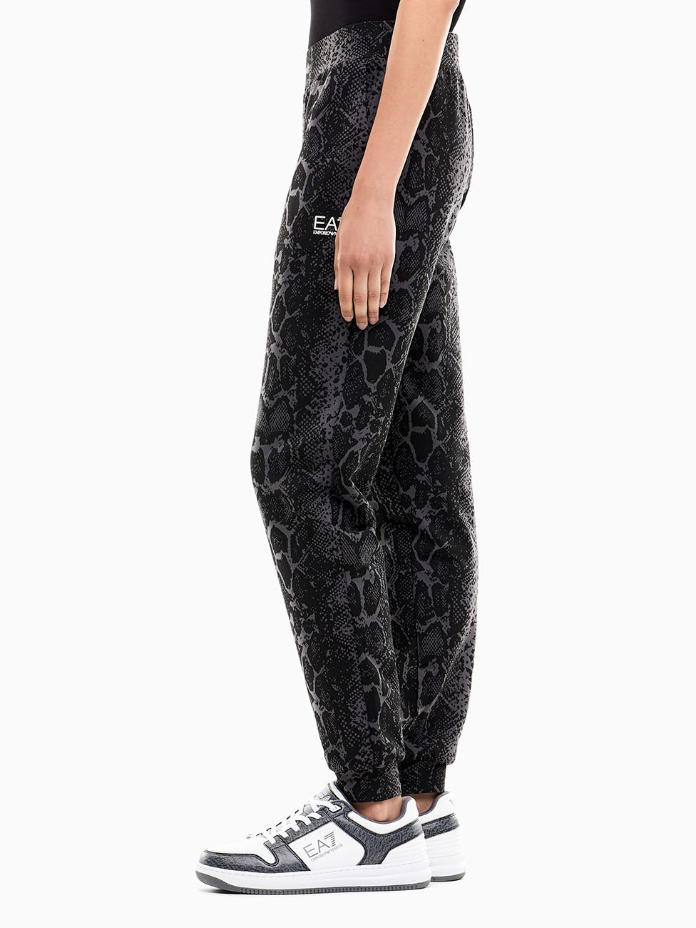 EA7 Graphic Series Pants