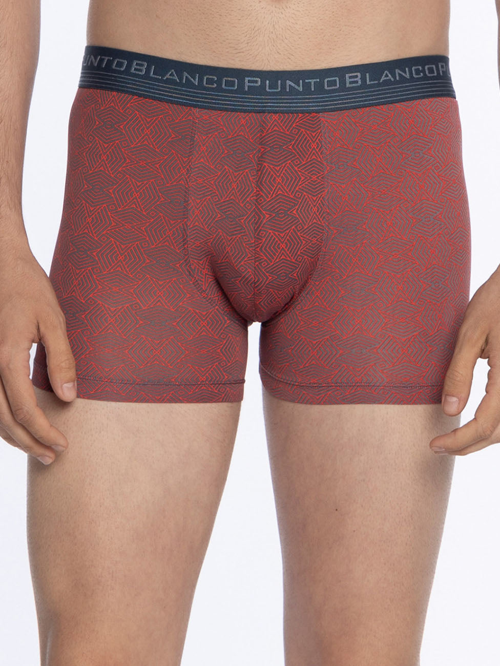 Punto Blanco Graphite Microfiber Boxer
