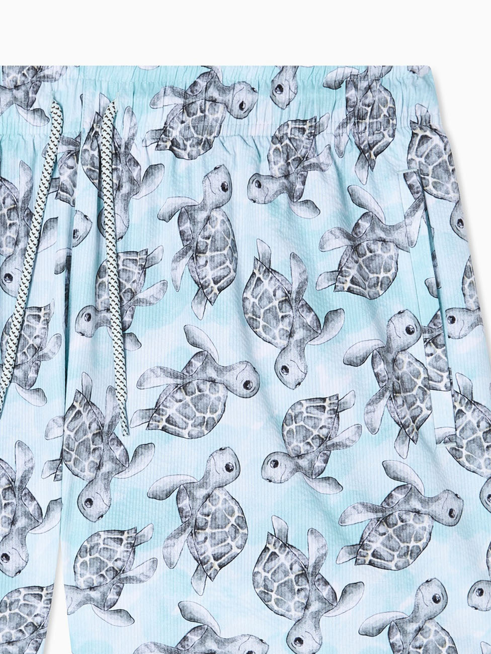 Emporio Armani Turtles Print Beach Shorts