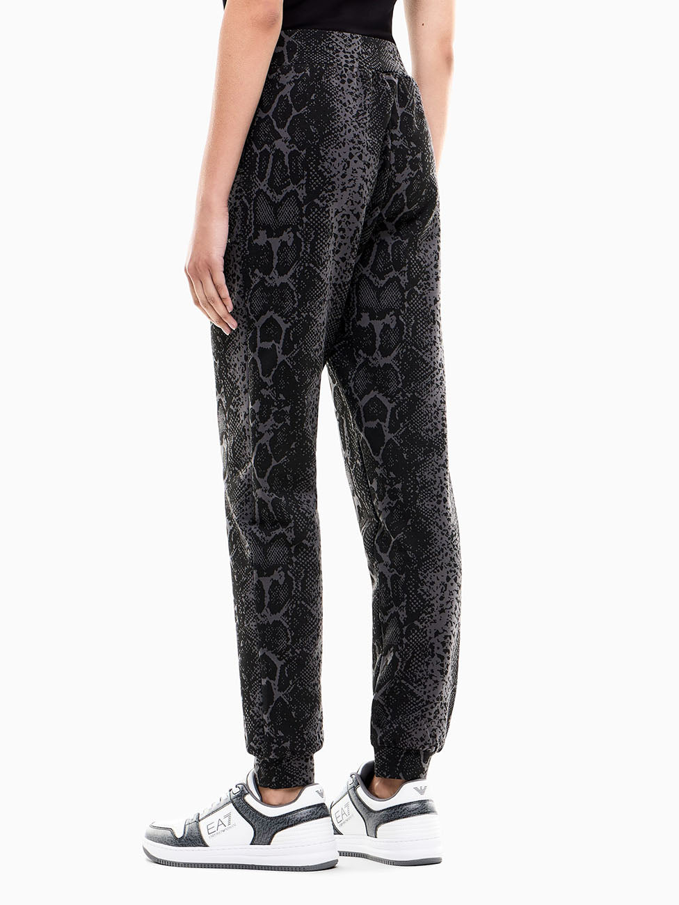 EA7 Graphic Series Pants