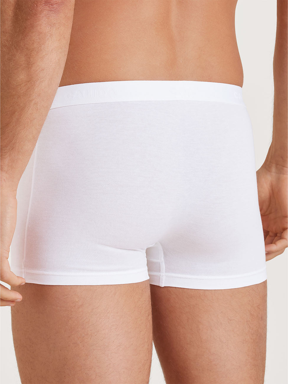 Calida Evolution Men Boxer brief